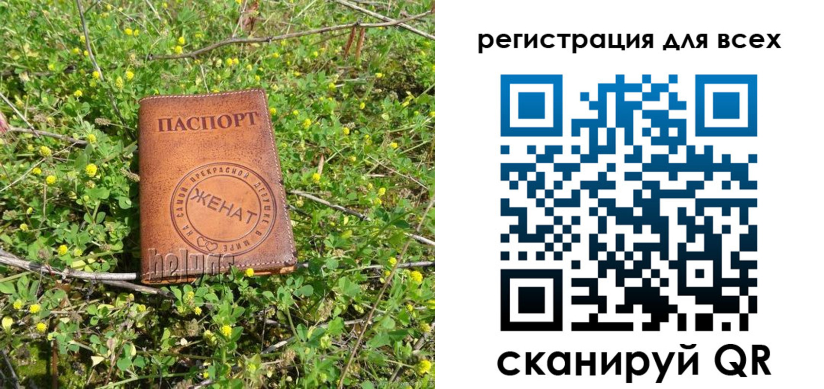 прописка регистрация в Острове
